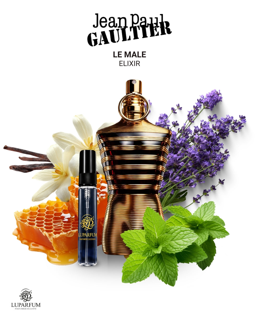 DECANT - JEAN PAUL GAULTIER LE MALE ELIXIR