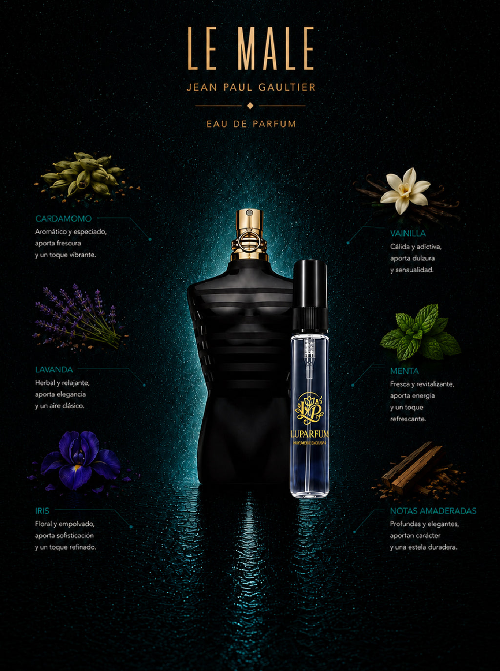 DECAN - JEAN PAUL GAULTIER LE MALE LE PARFUM