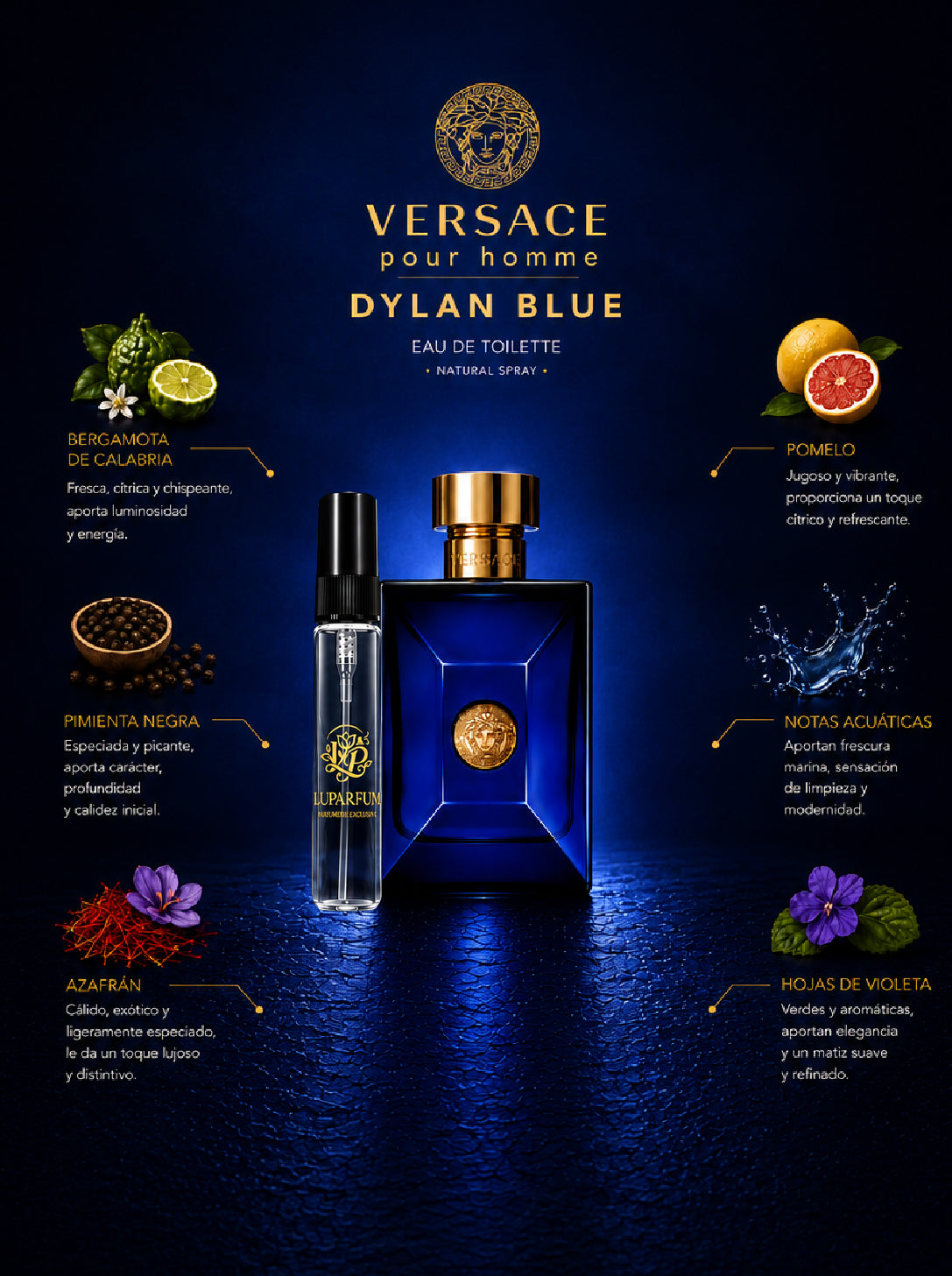 DECANT - VERSACE DYLAN BLUE EDT